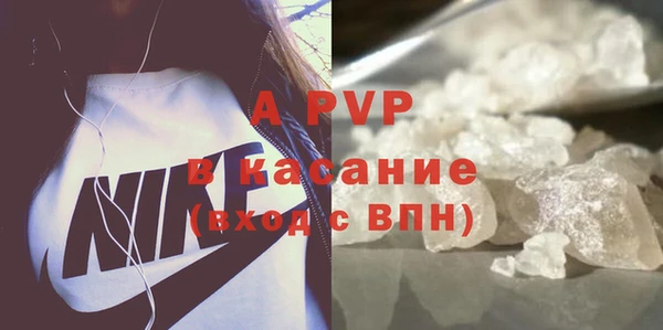 индика Нефтегорск