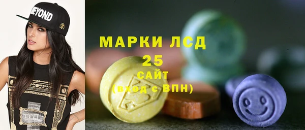 дживик Новозыбков