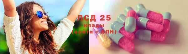 PSILOCYBIN Нея