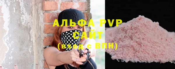 индика Нефтегорск