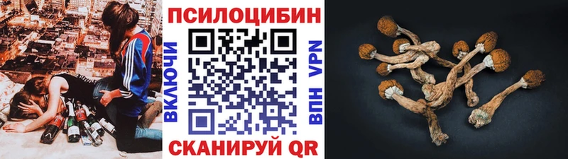 где найти   Калач-на-Дону  Галлюциногенные грибы MAGIC MUSHROOMS 