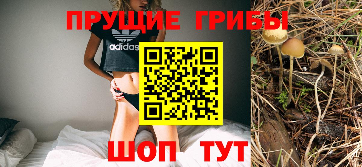 Псилоцибиновые грибы Psilocybe  Вход с VPN  Калач-на-Дону 