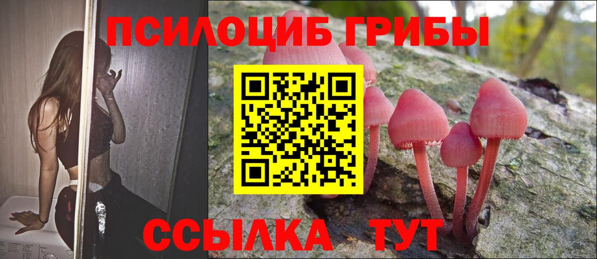 Псилоцибиновые грибы GOLDEN TEACHER Калач-на-Дону